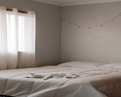 A calming bedroom scene with soft morning light filtering through curtains onto a neatly made bed